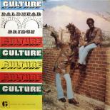Culture_Baldhead_Bridge_front.jpg