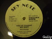 00-va-sky_note_12_inch_sky_dd0011-vls-197x-side_b-gully.jpg