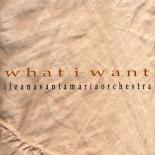 What_I_Want_F.jpg