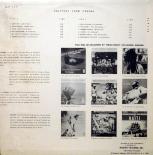 Calypsos_from_Panama,_back.jpg