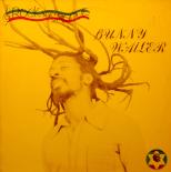 Bunny_Wailer,_Rock_'n'_Groove,_front.jpg