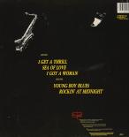 TheHoneydrippers-Back.jpg