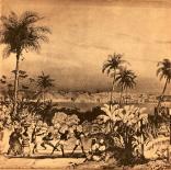 2_Copeira_Back_Cover.jpg