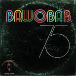 Orchestre_du_Bawobab,_front.jpg