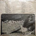 various_Artists,_Chupando_Exitos,_back.jpg