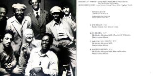 muddy_waters_i_m_ready_inlay_a_by_pianeta_X.jpg