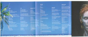 Inlay2.jpg