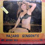 Abel_Antonio_Villa,_Pajaro_Sinsonte,_front.jpg