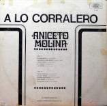 Aniceto_Molina_back.jpg